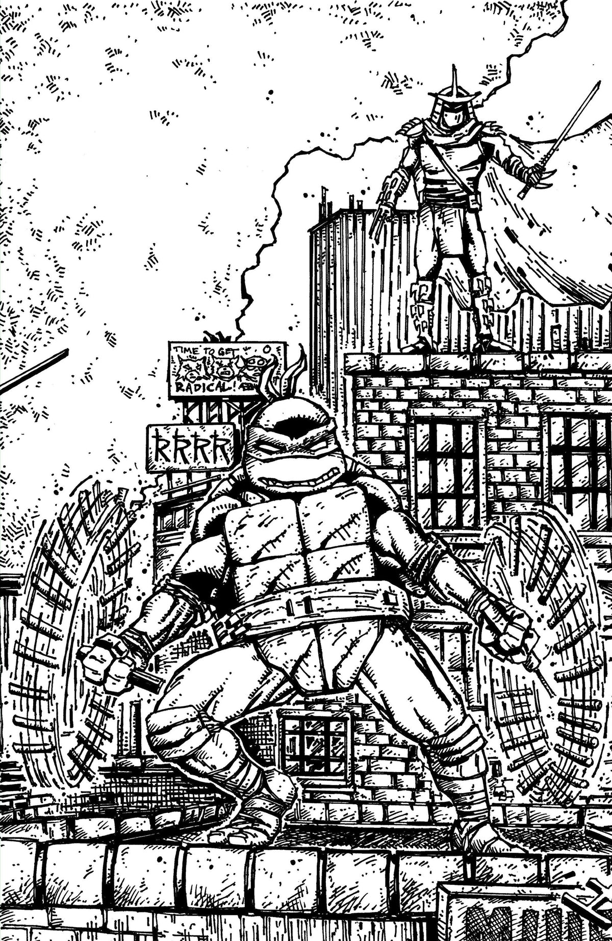Teenage Mutant Ninja Turtles #23 Variant Ri (10) (Eastman & Bishop Black & White Full Art)