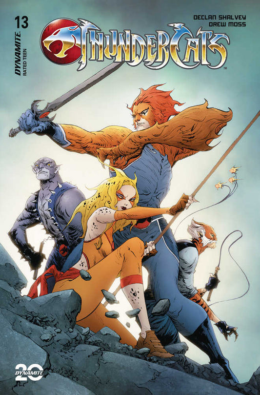 Thundercats #13 Cover N 10 Copy Variant Edition Lee & Chung Foil