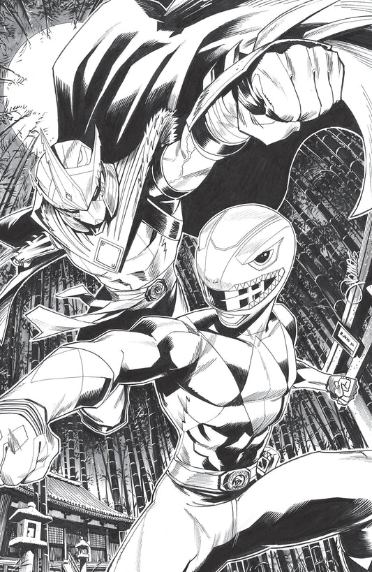Mighty Morphin Power Rangers/Teenage Mutant Ninja Turtles III #2 E 1 in 10 Variant Edition (Full Art, Zonno)